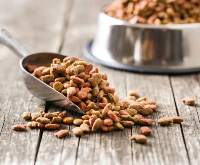 Croquetas GrainFree Vital